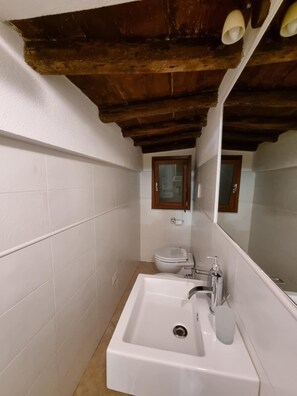 Hair dryer, bidet, towels