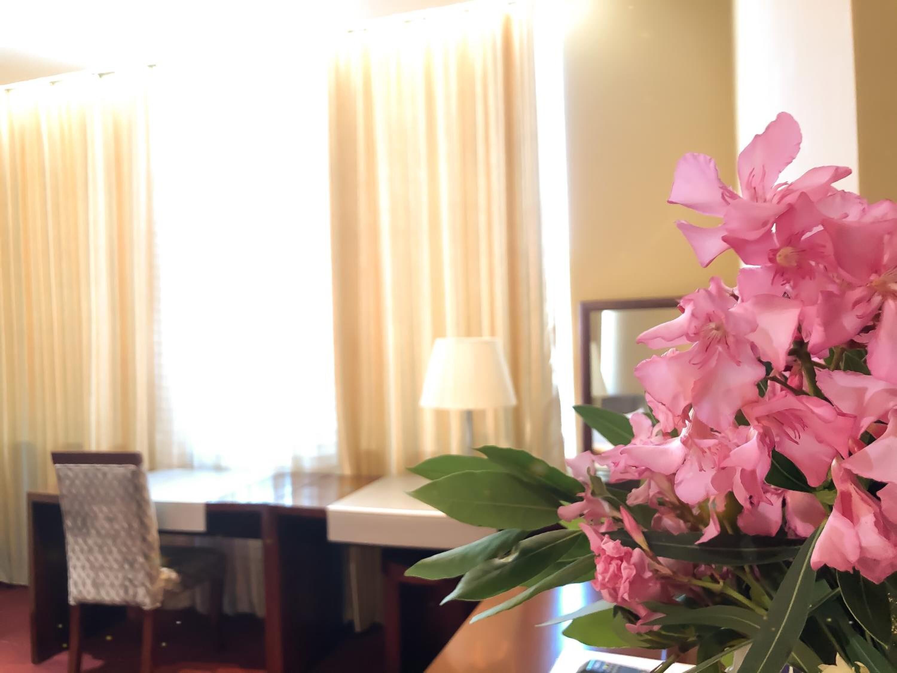 A hotel room with a dining table, chairs, and a vase of pink flowers.