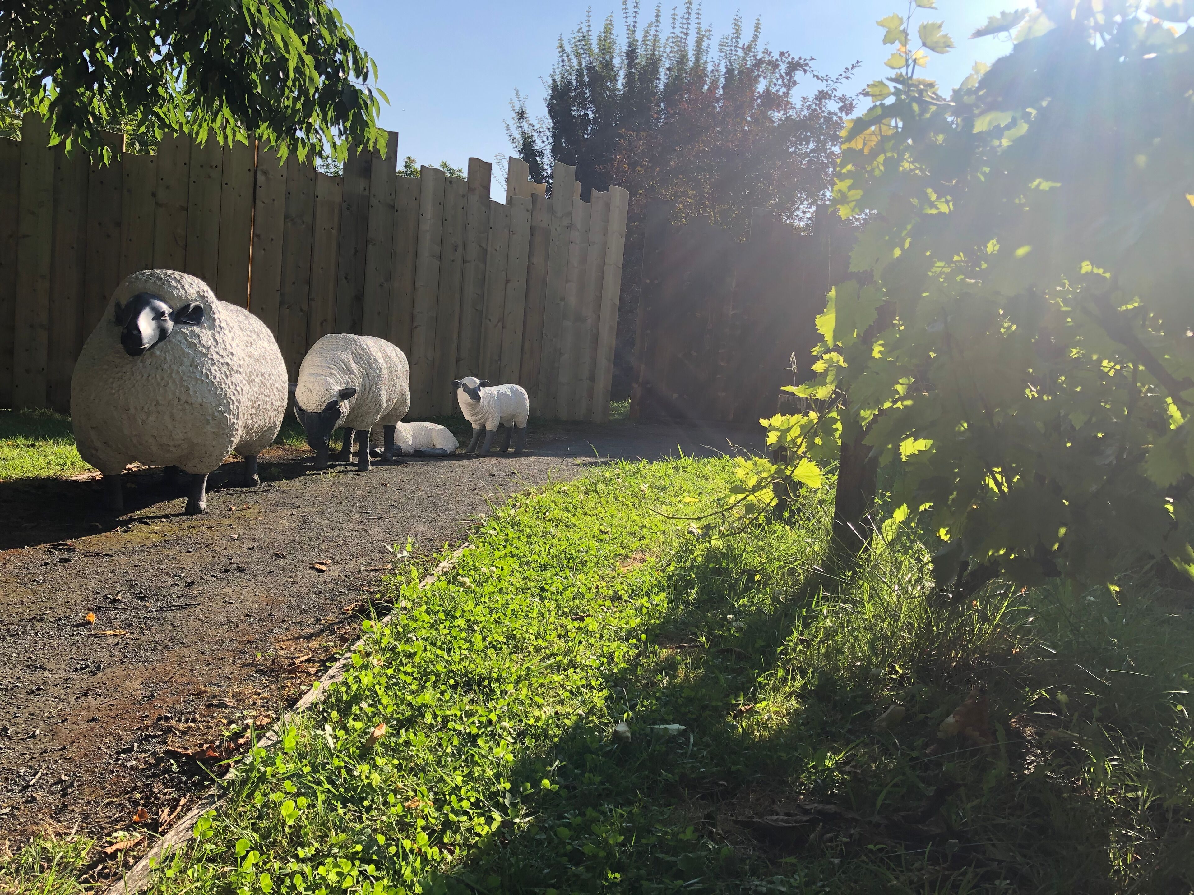 comfort double room | terrace/patio