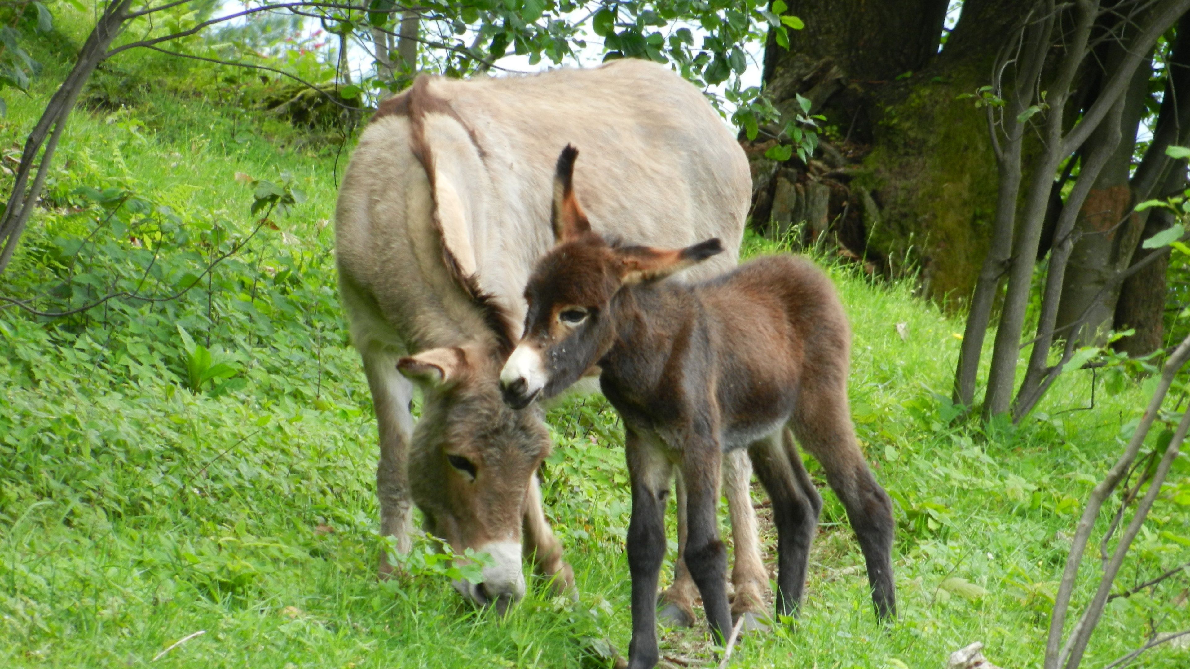 children’s activities