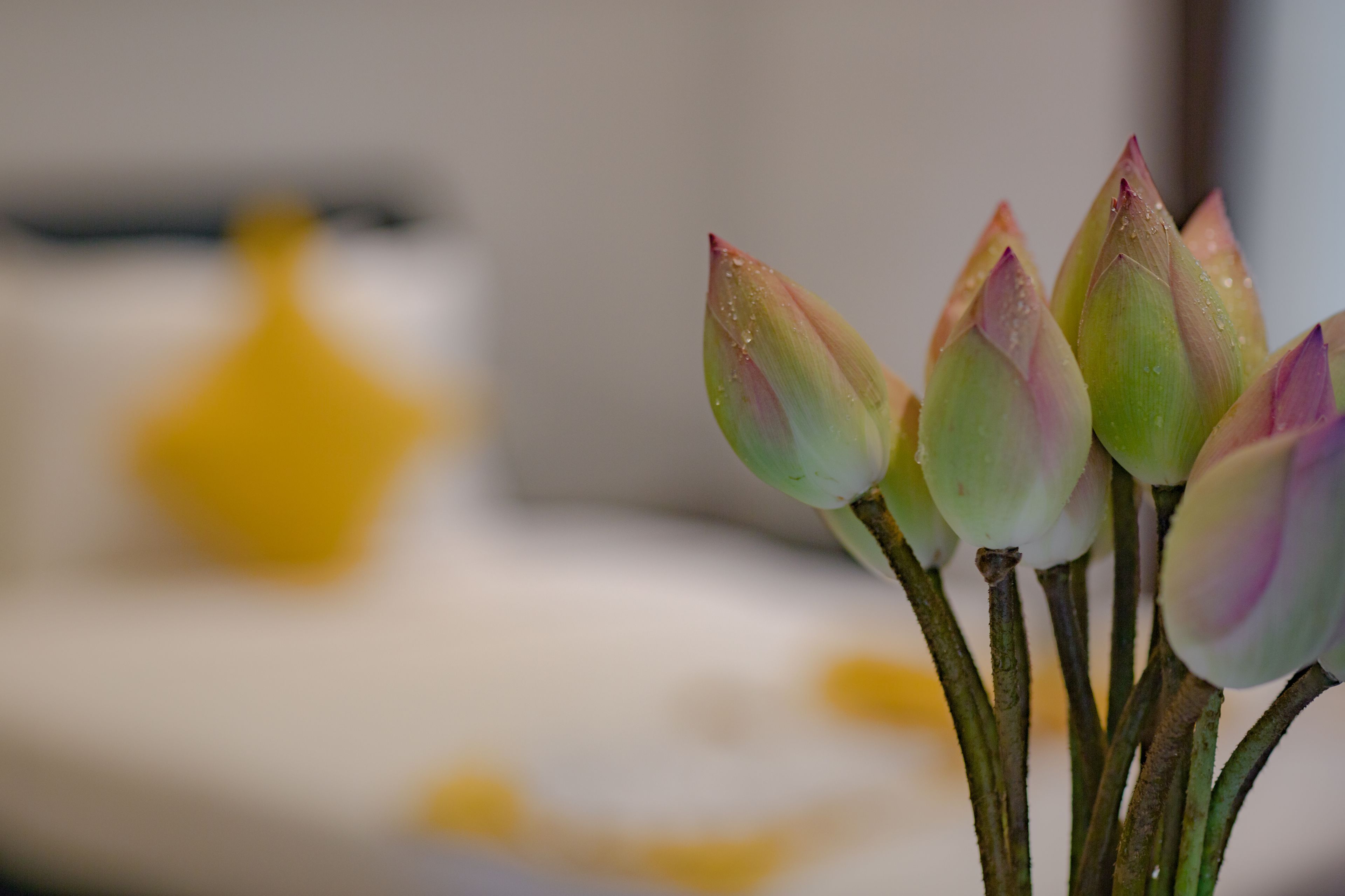 1 bedroom, minibar, in-room safe, individually decorated