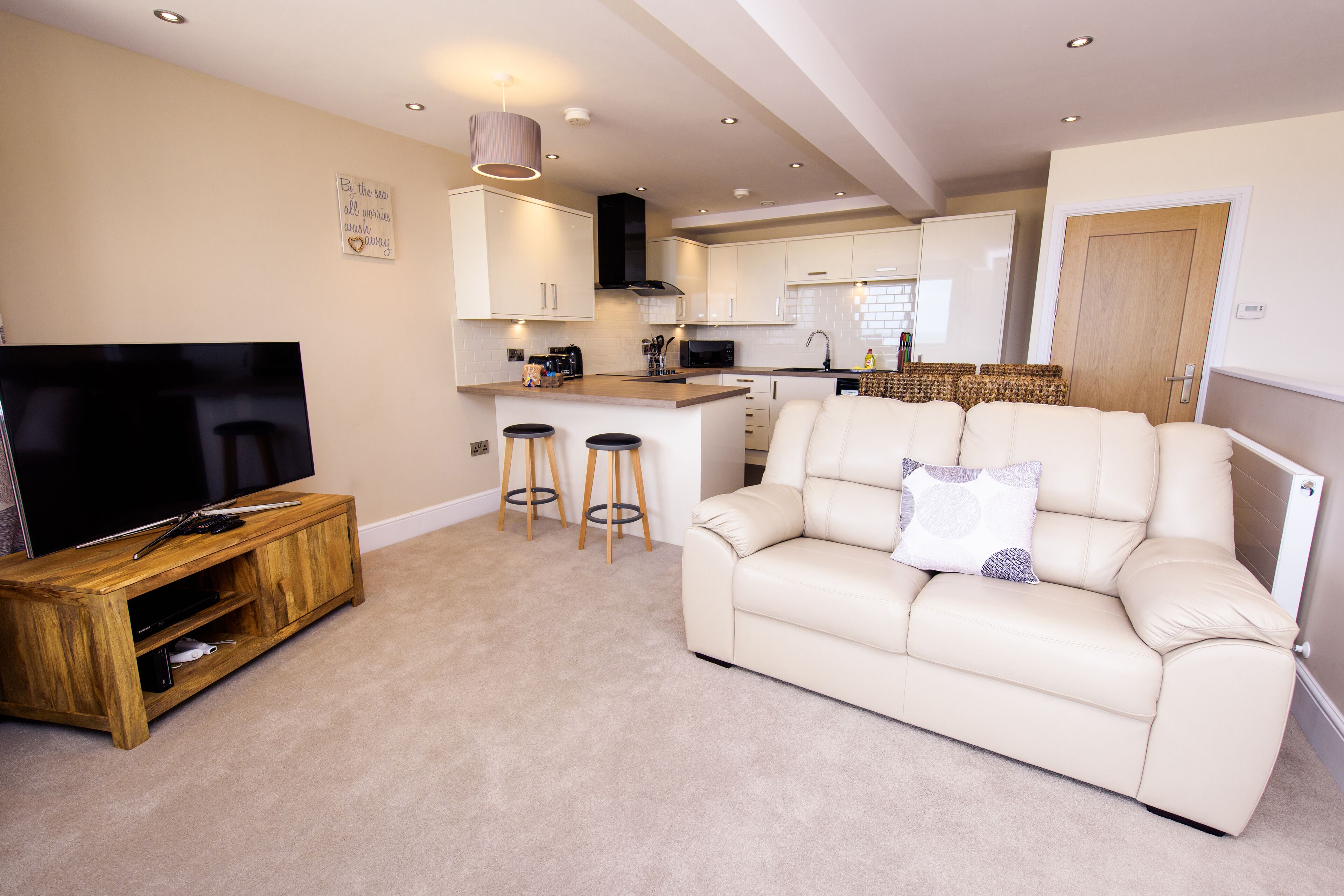 Flat-screen TV, DVD player, iPod dock