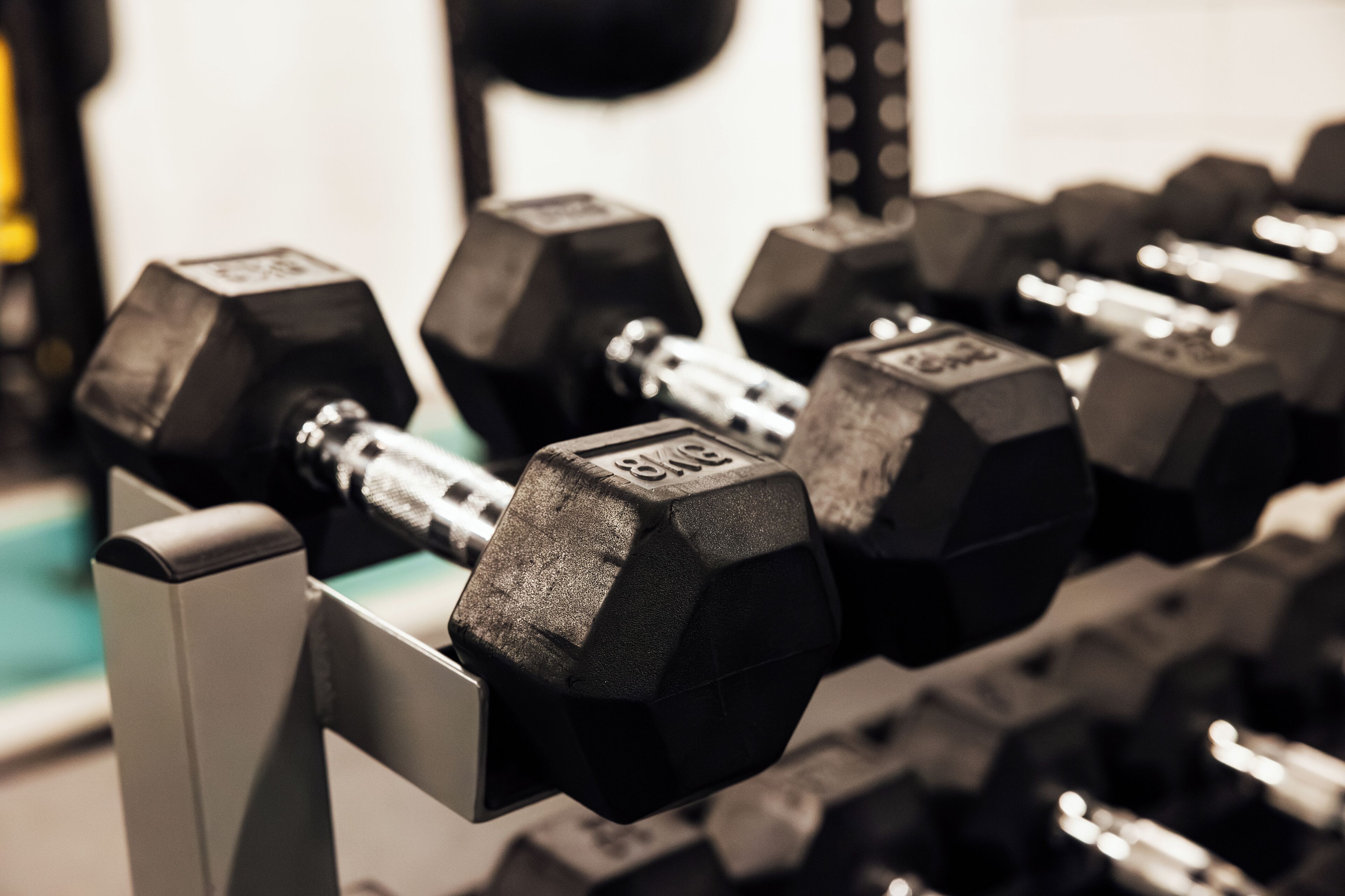 A close-up of a set of black dumbbells on a rack.