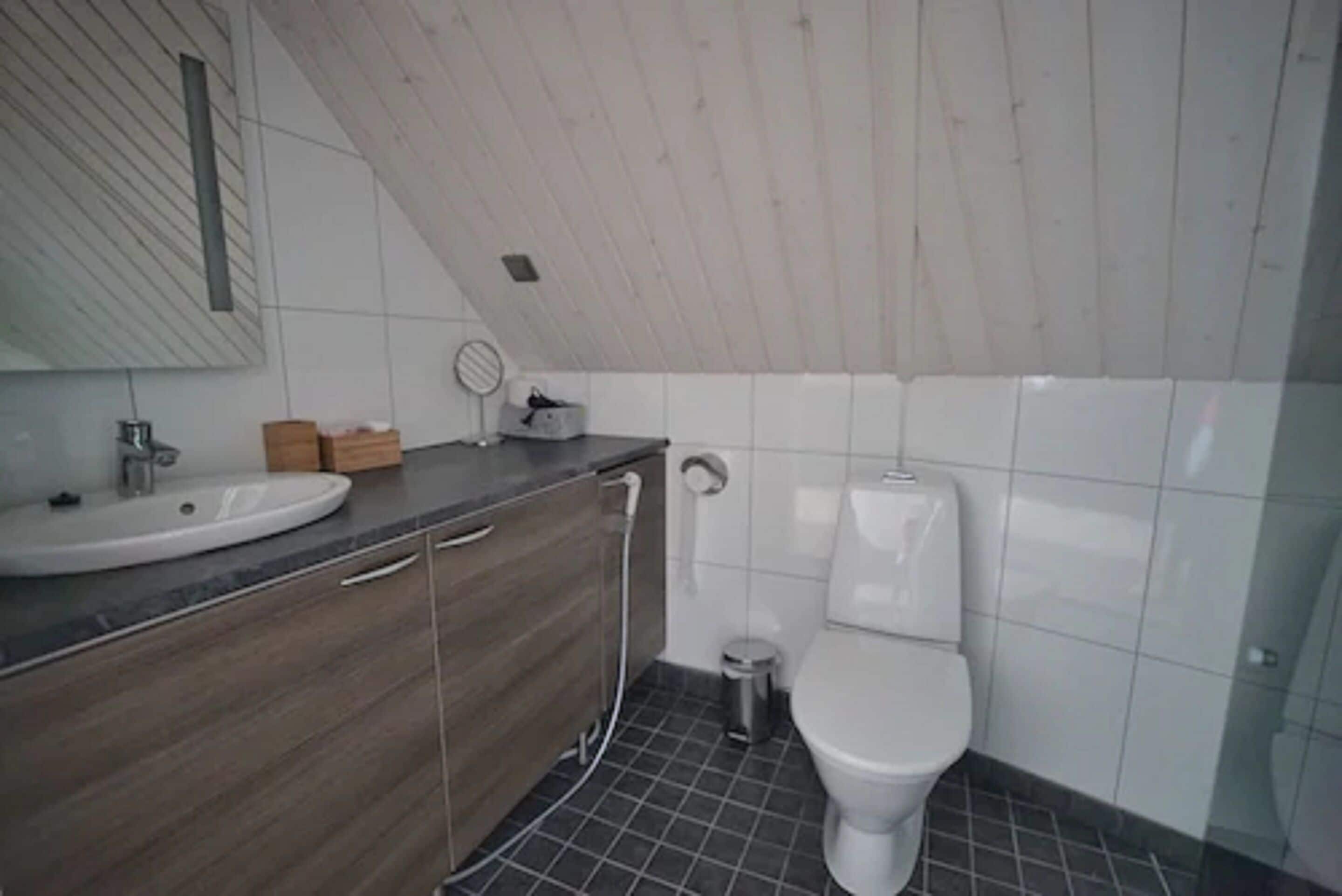 shower, rainfall showerhead, free toiletries, hair dryer