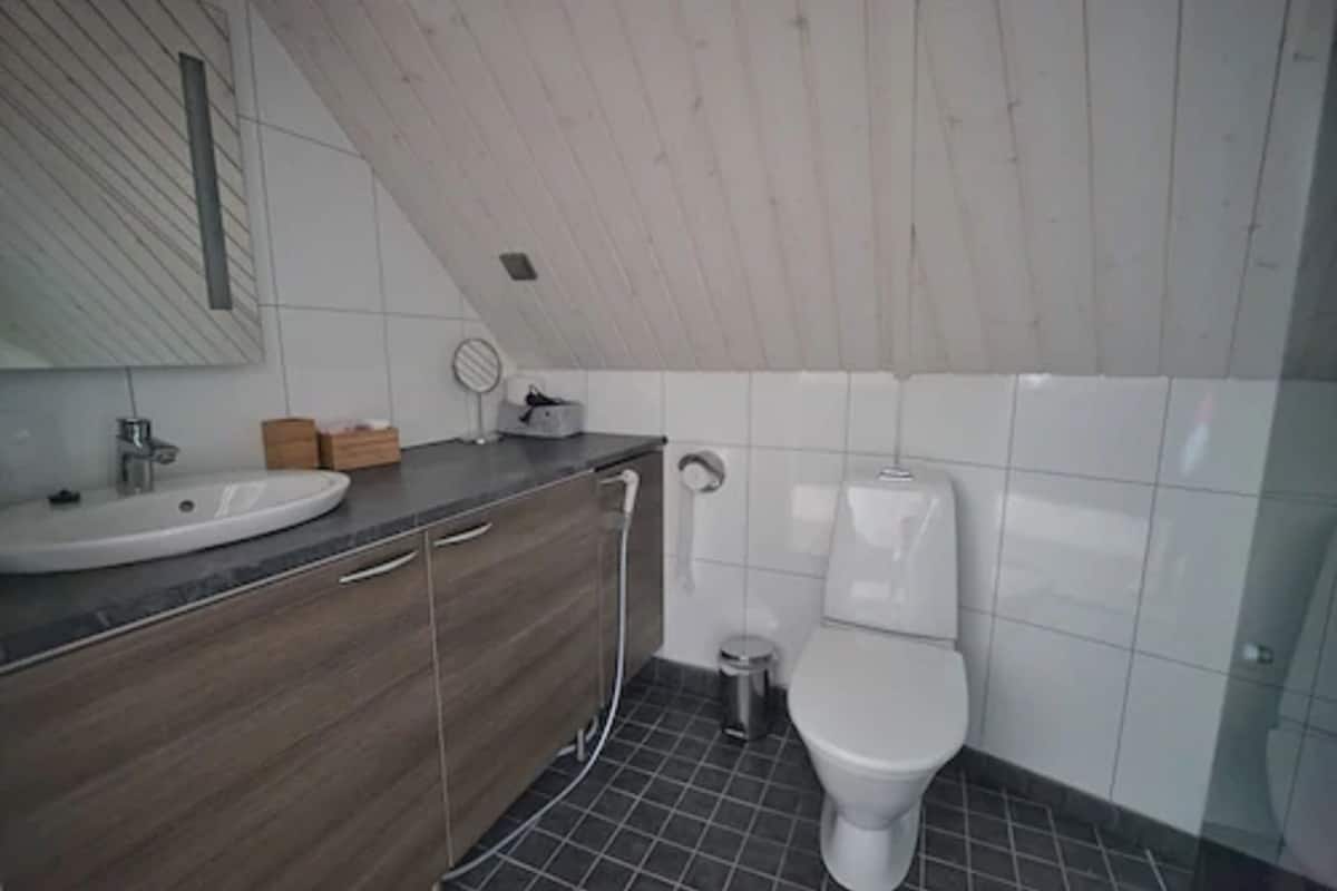 shower, rainfall showerhead, free toiletries, hair dryer