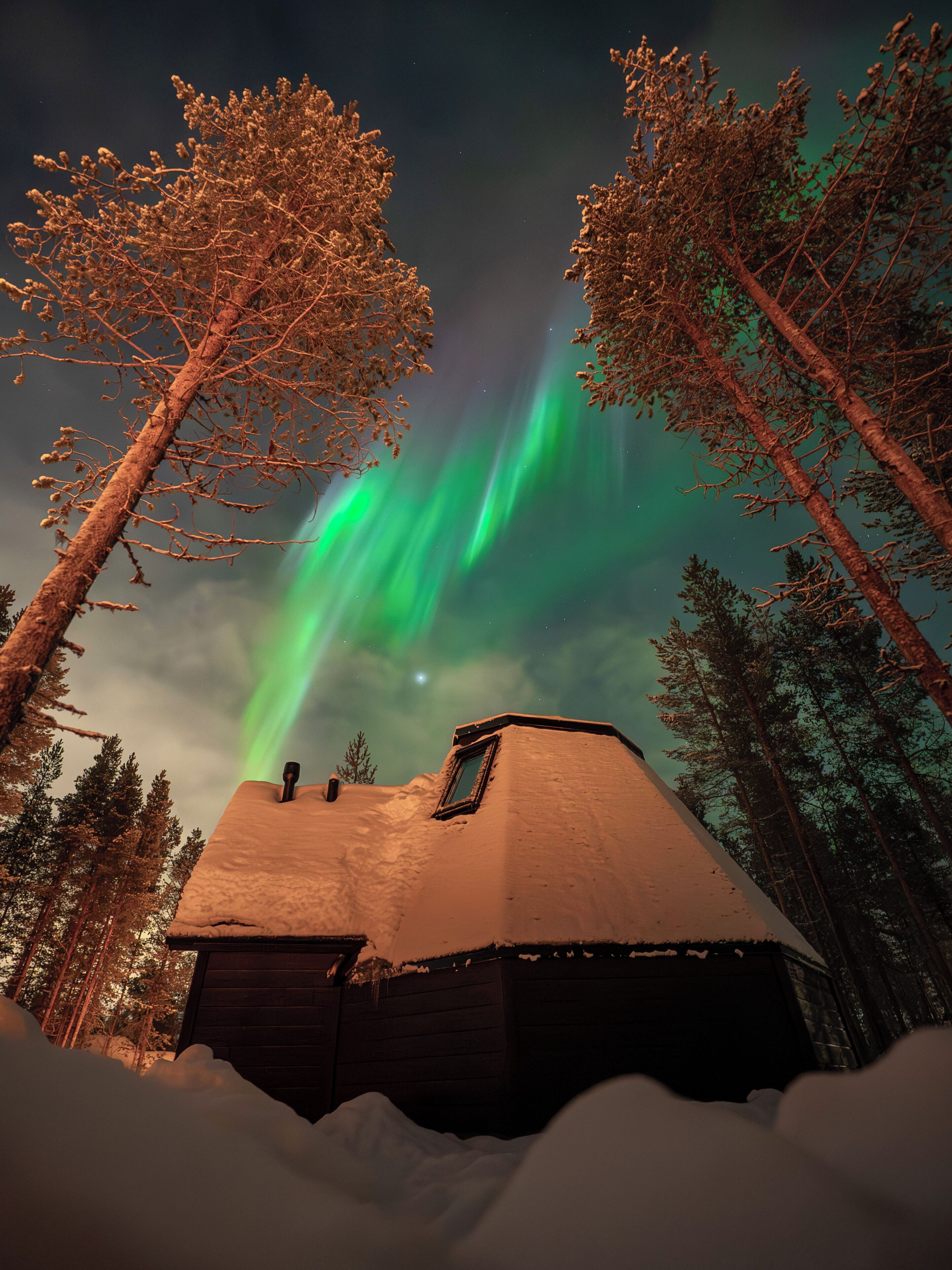 A cabin with a snow-covered roof, surrounded by trees, and a view of the night sky with green aurora lights.