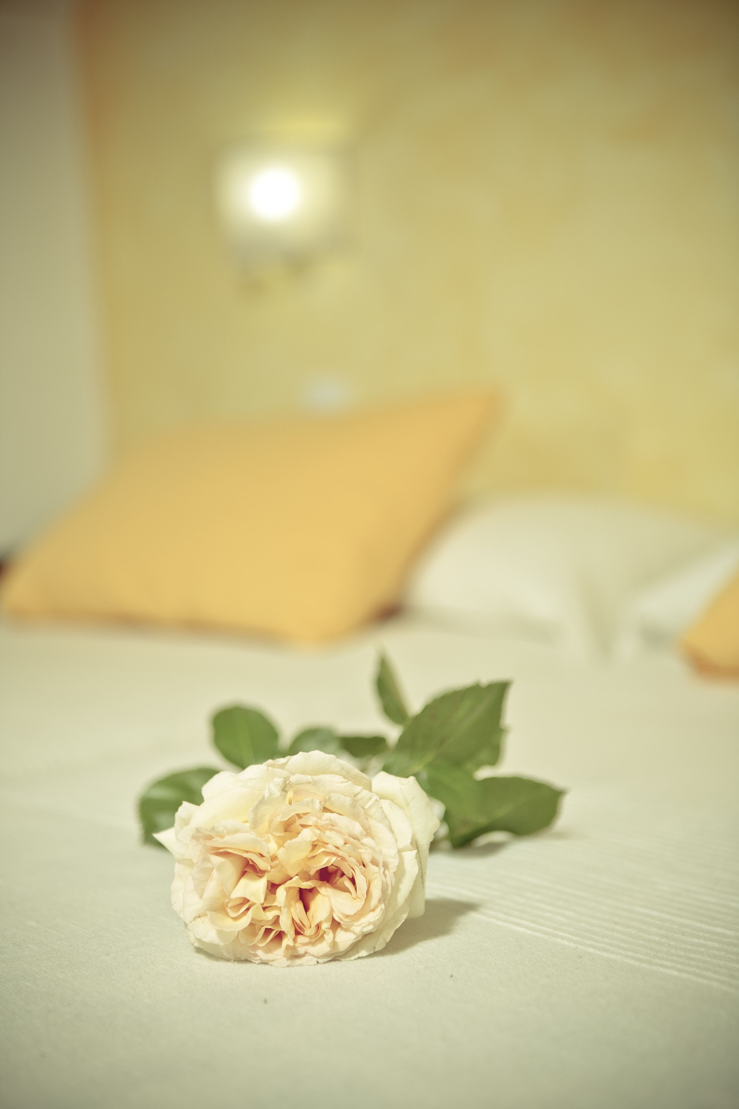 Foto - La Posada de Grimaldo