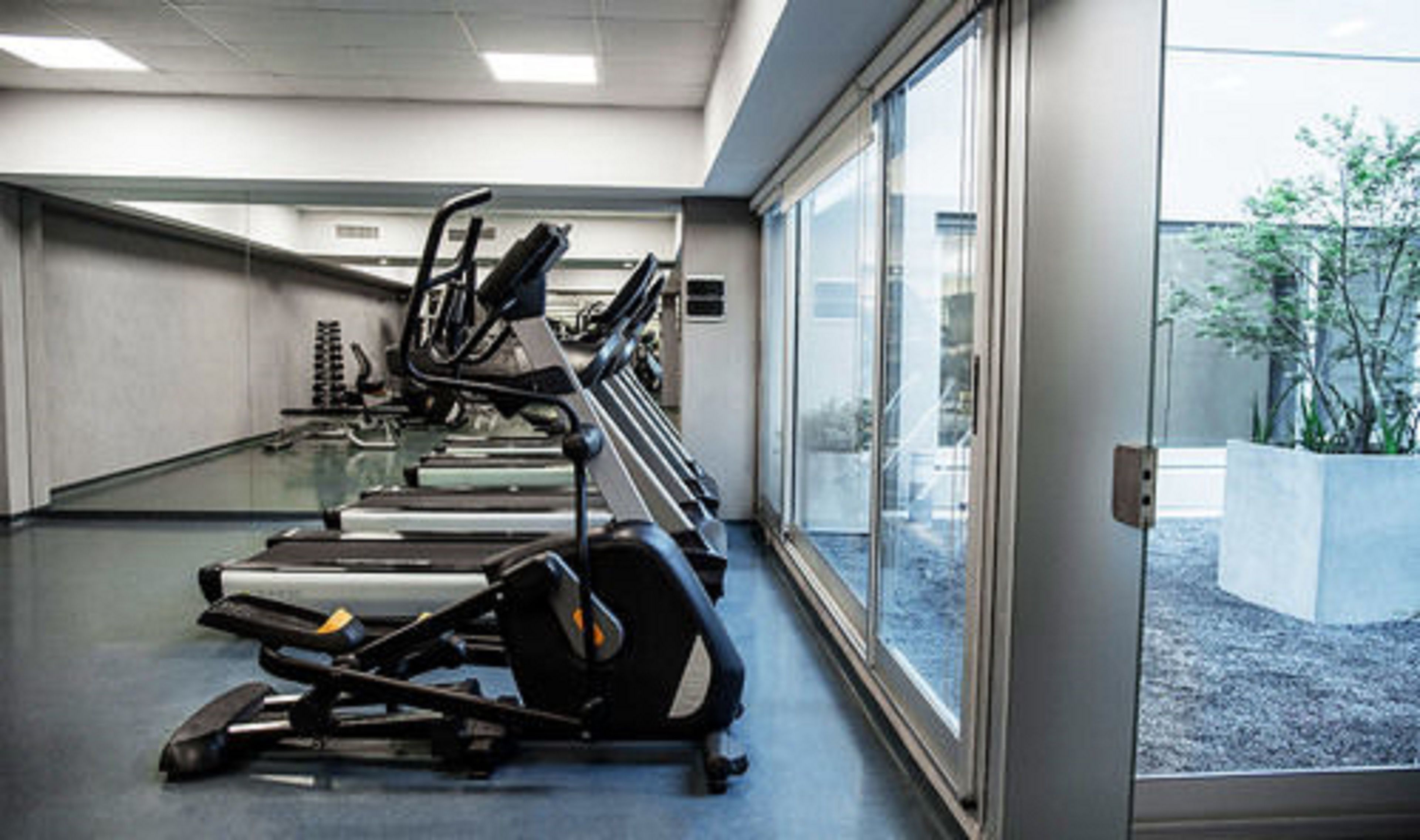 A gym with treadmills and stationary bikes, large windows, and a concrete floor.
