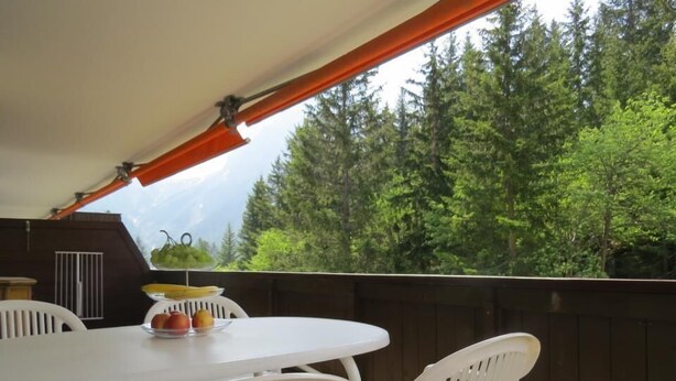 A wooden deck with a white table and chairs, a fruit bowl, and a view of dense forest.