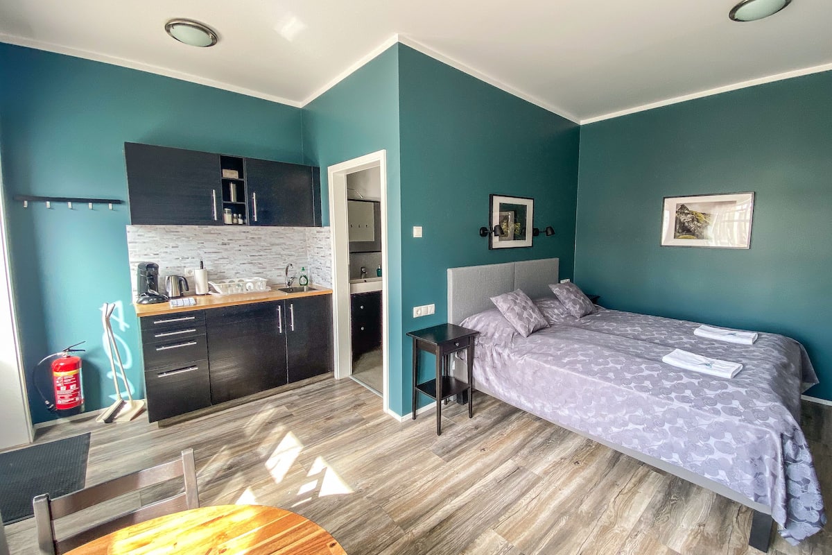 economy studio | 2 bedrooms, premium bedding, individually decorated, free wifi