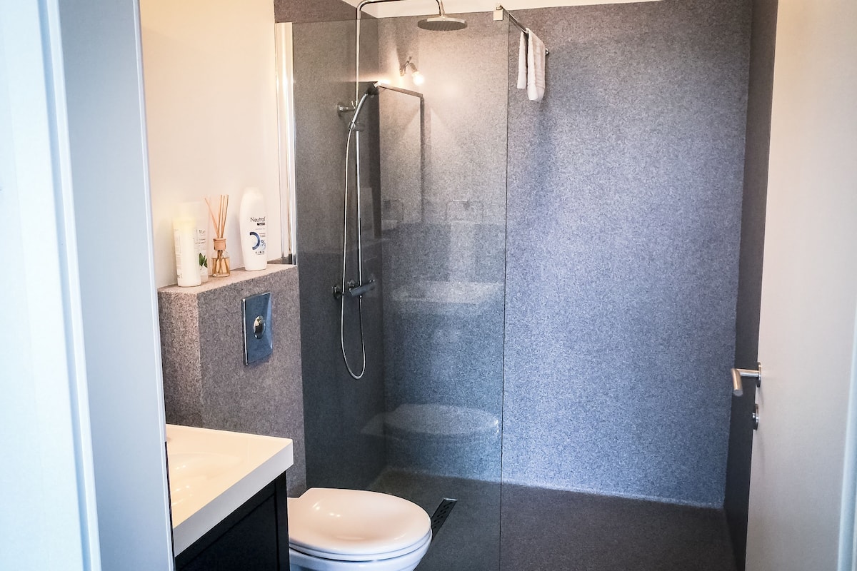 free toiletries, hair dryer, towels, soap