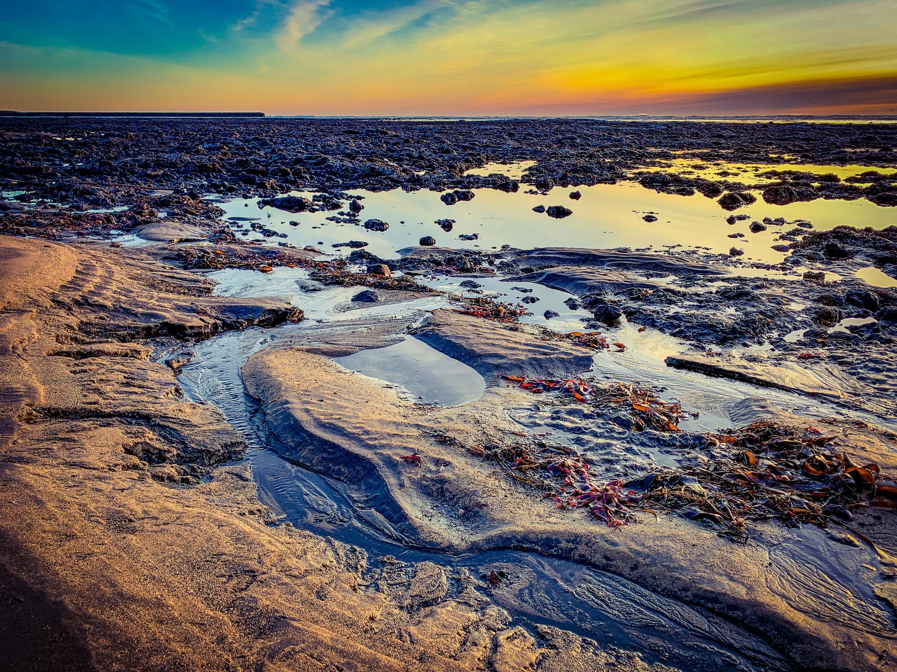 A beach with wet sand, scattered rocks, and seaweed.