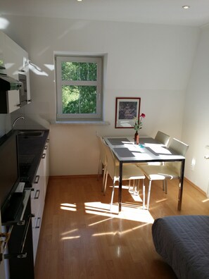 Departamento económico, 1 habitación, cocina, en el área del jardín (Apt 3, Vitezna 1256/36) | Cocina privada | Microondas, parrilla de estufa, lavavajillas y cafetera y tetera 