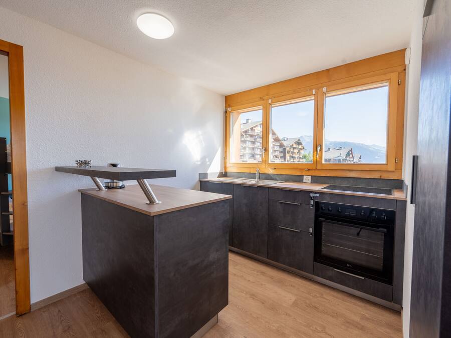 A modern kitchen with dark cabinetry, a built-in oven, and a window overlooking a mountainous landscape.