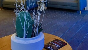 A modern lobby with a grey sofa, a wooden coffee table with a plant, and a large mirror reflecting the room. - Eden Resort Anzère (Ayent)