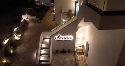 Eleana Studios