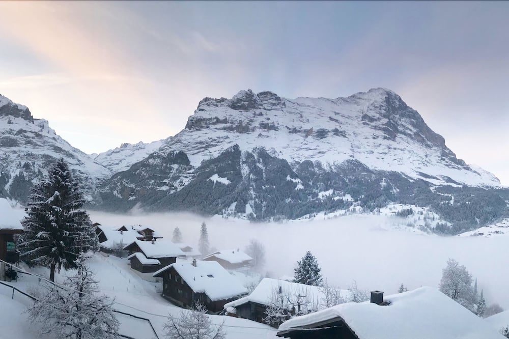 Eigerblick