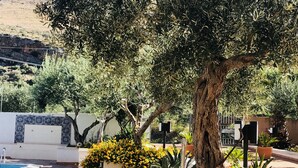 A pool area with a tiled floor, surrounded by greenery and a large tree. - Hotel Achibea (San Vito Lo Capo)