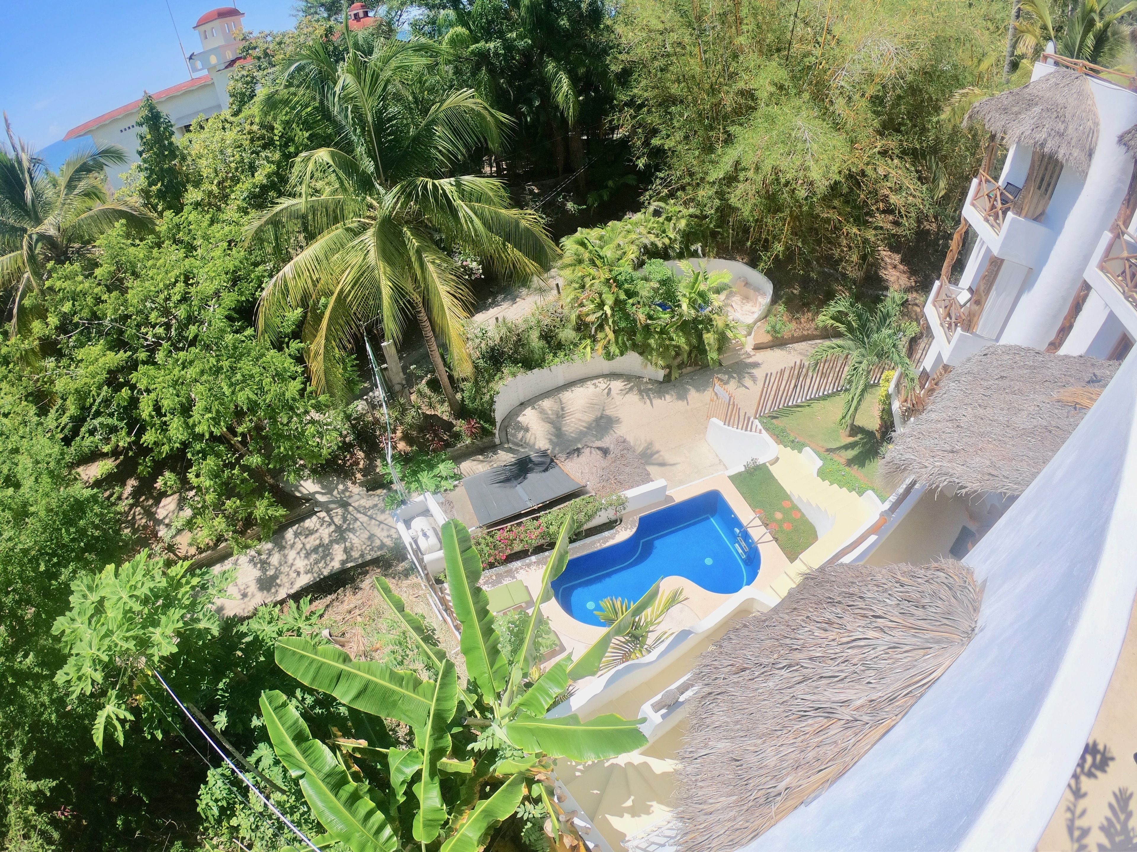 A pool surrounded by lush greenery and a white building with a red roof.