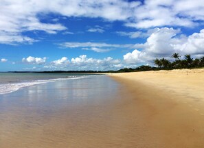 Ein Strand mit weitem Sandstrand, ruhigem Wasser und einer Reihe von Palmen in der Ferne.