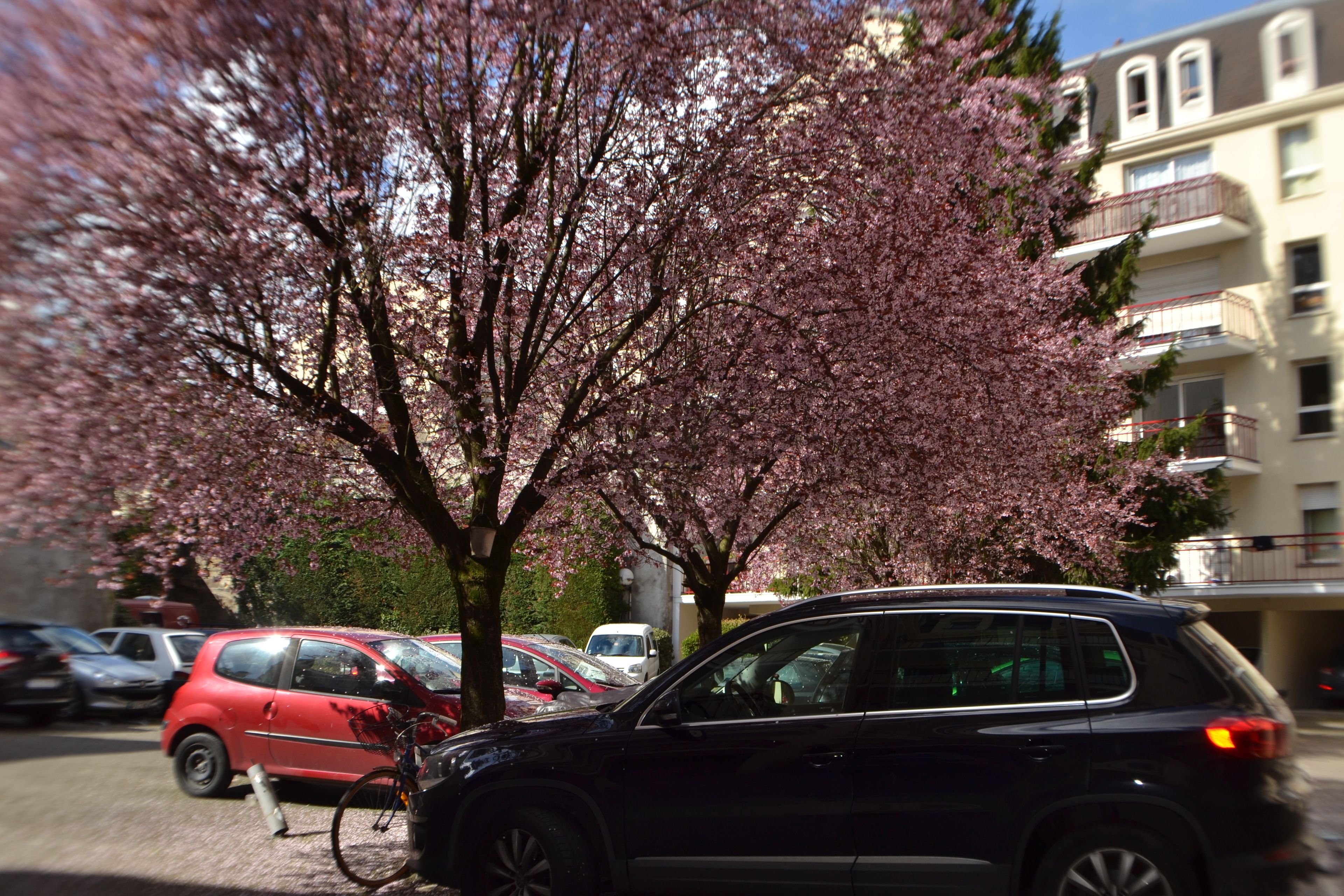 Photo - L'Invitation au Voyage