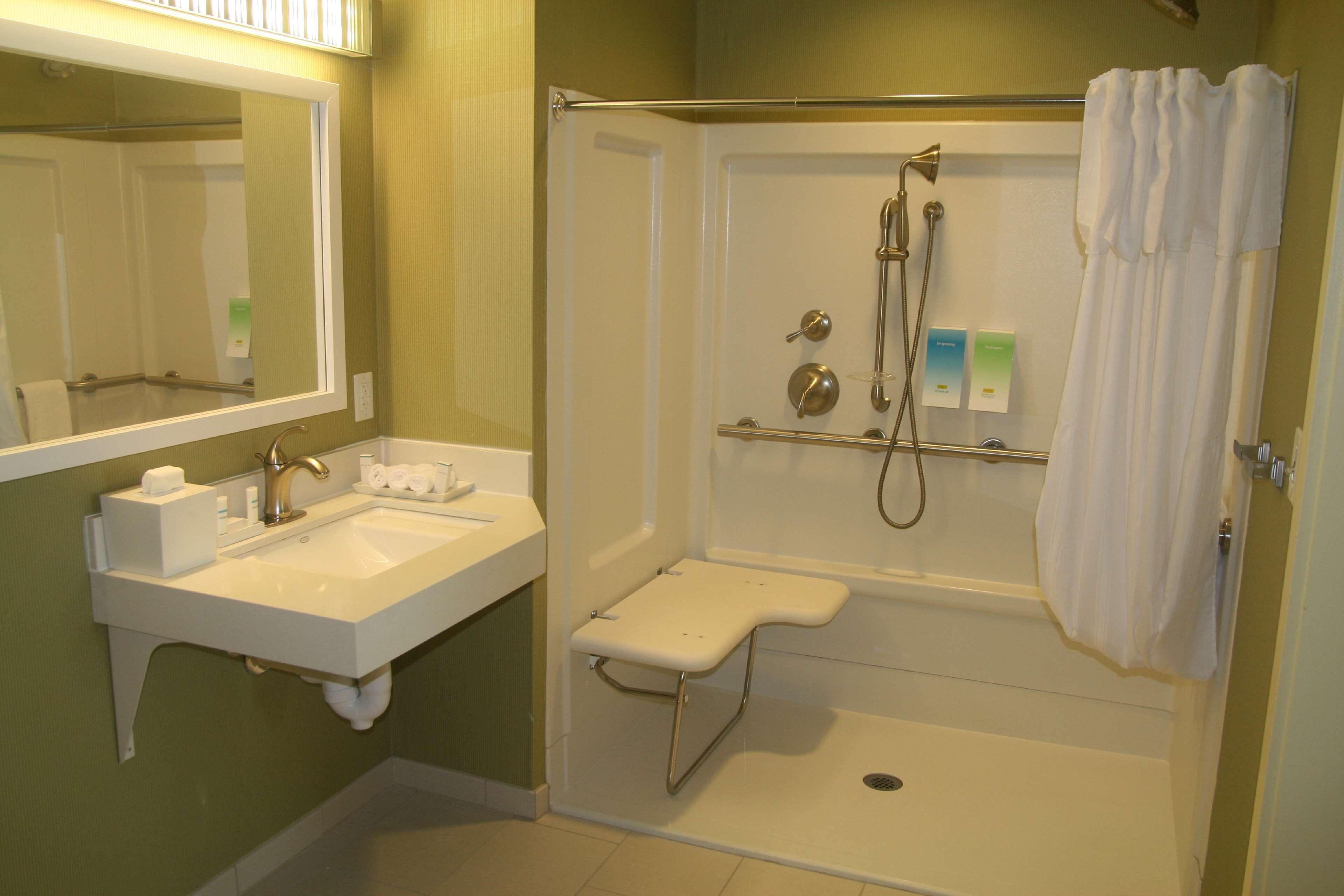 suite, 1 queen bed, accessible (roll-in shower) | bathroom shower