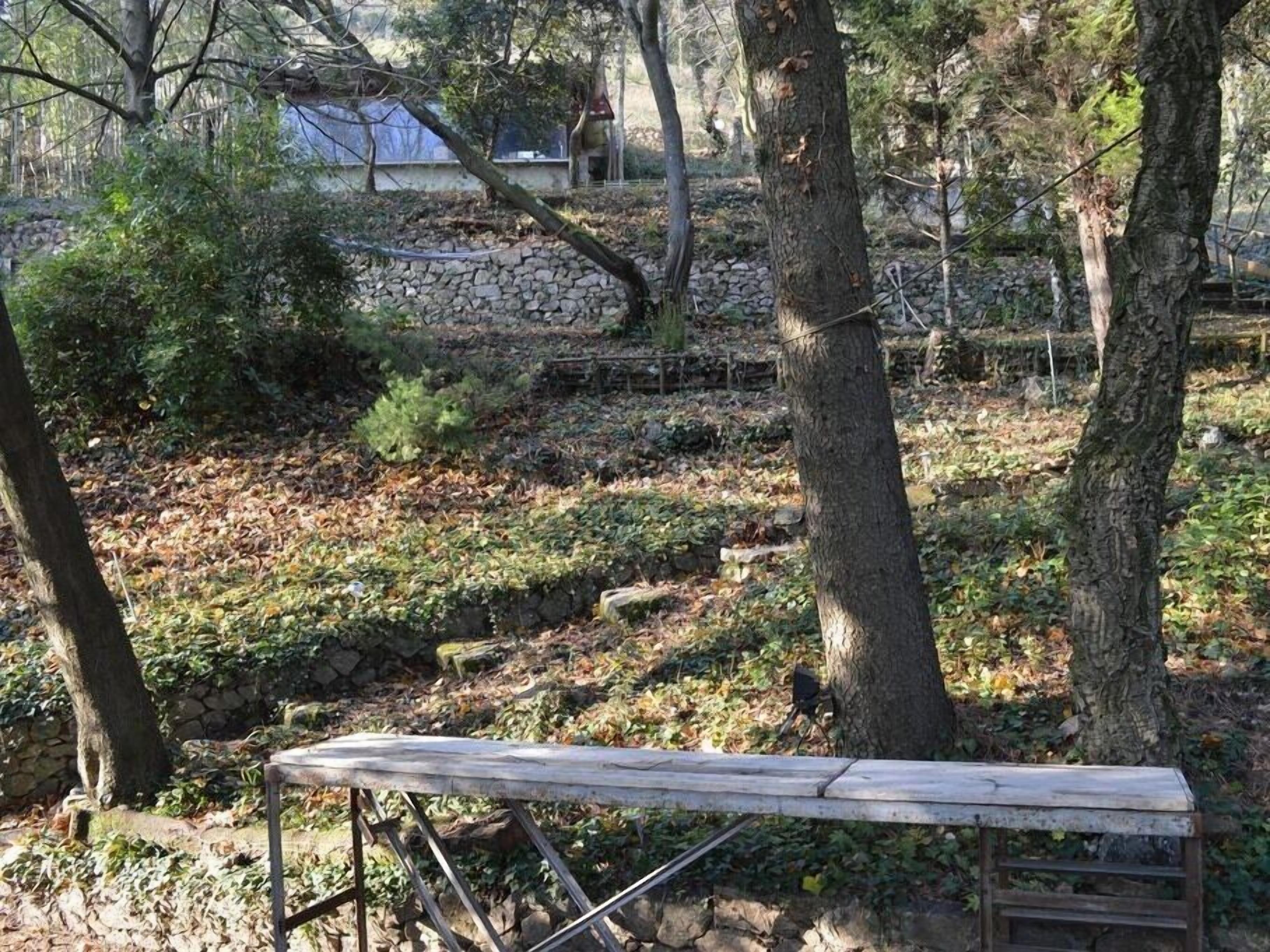 Un entorno rústico al aire libre con un banco de madera, un muro de piedra y árboles.