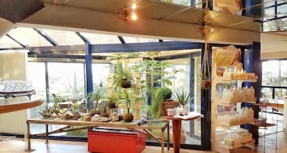 Casa Marta : Suites - Terrasses et vue Panoramique