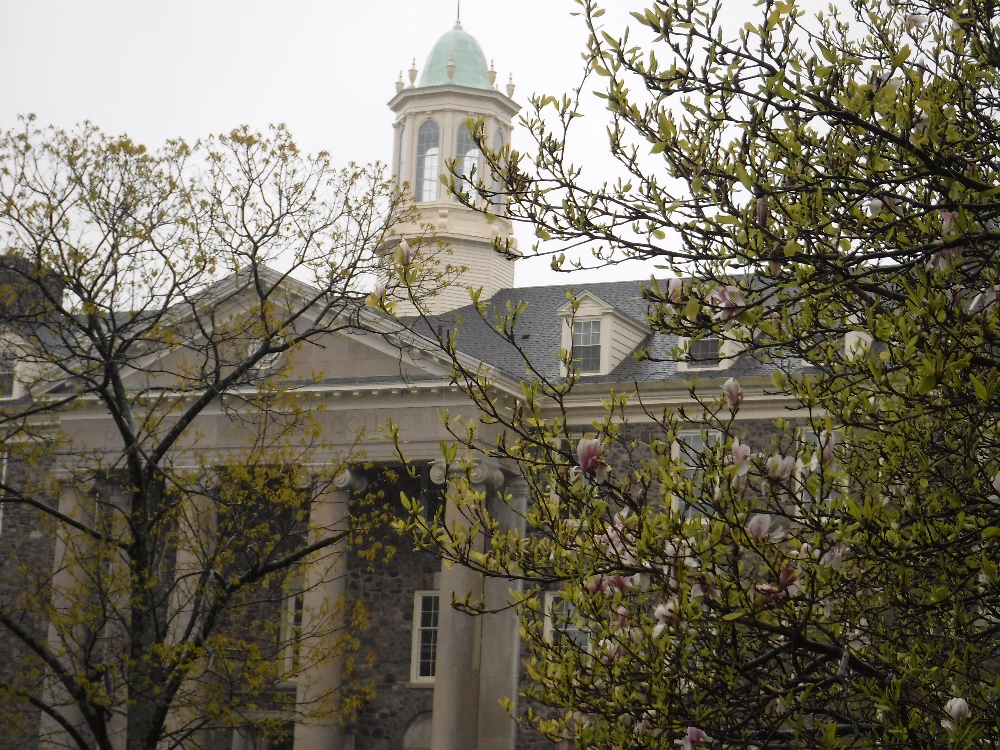 Foto - University of King's College