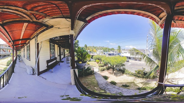 A covered outdoor area with a view of a street and greenery, including a palm tree.