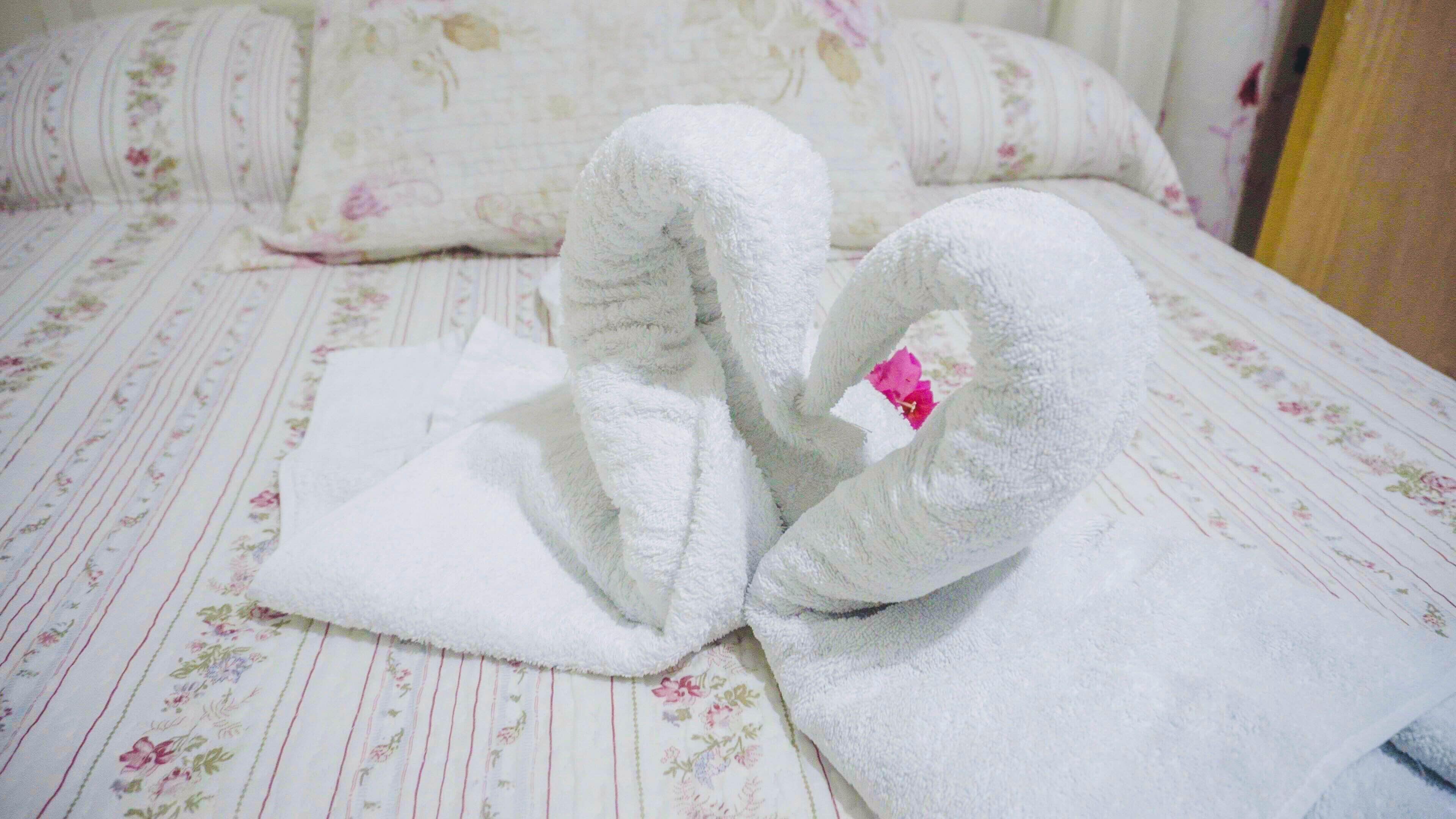 Foto - Posada Nativa Miss Trinie