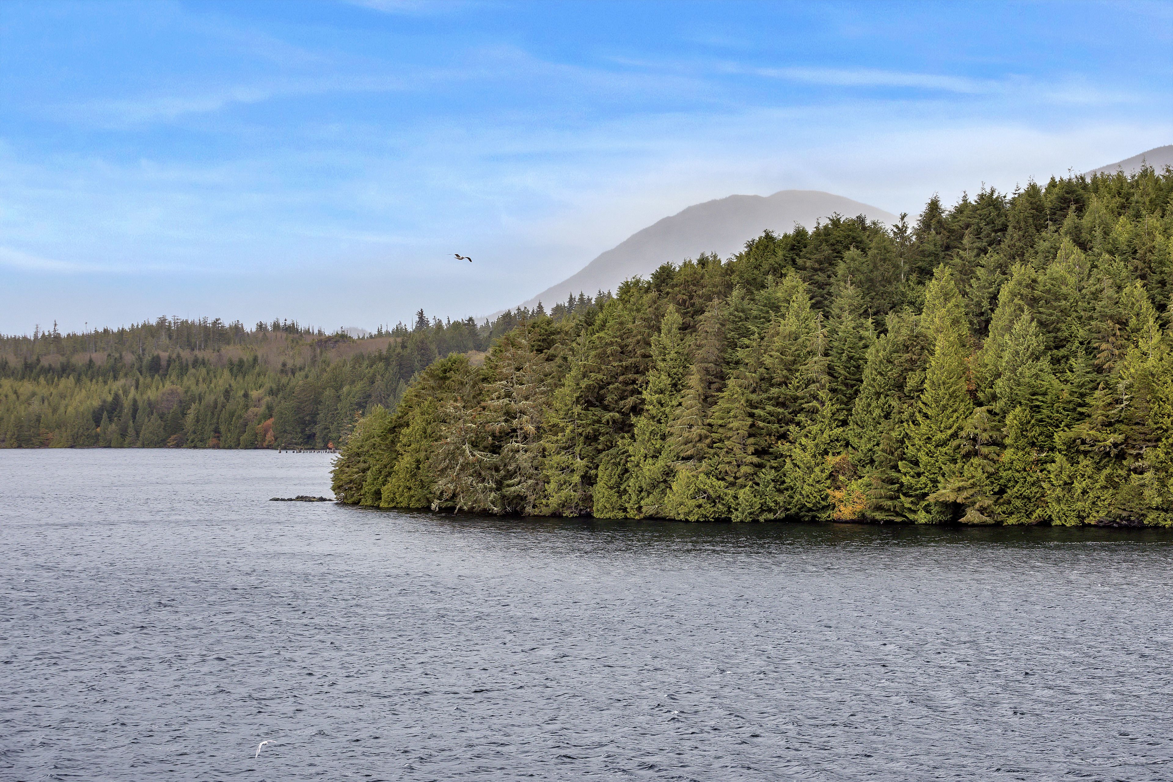 Ein ruhiger See mit einer bewaldeten Insel und einem Berg im Hintergrund.