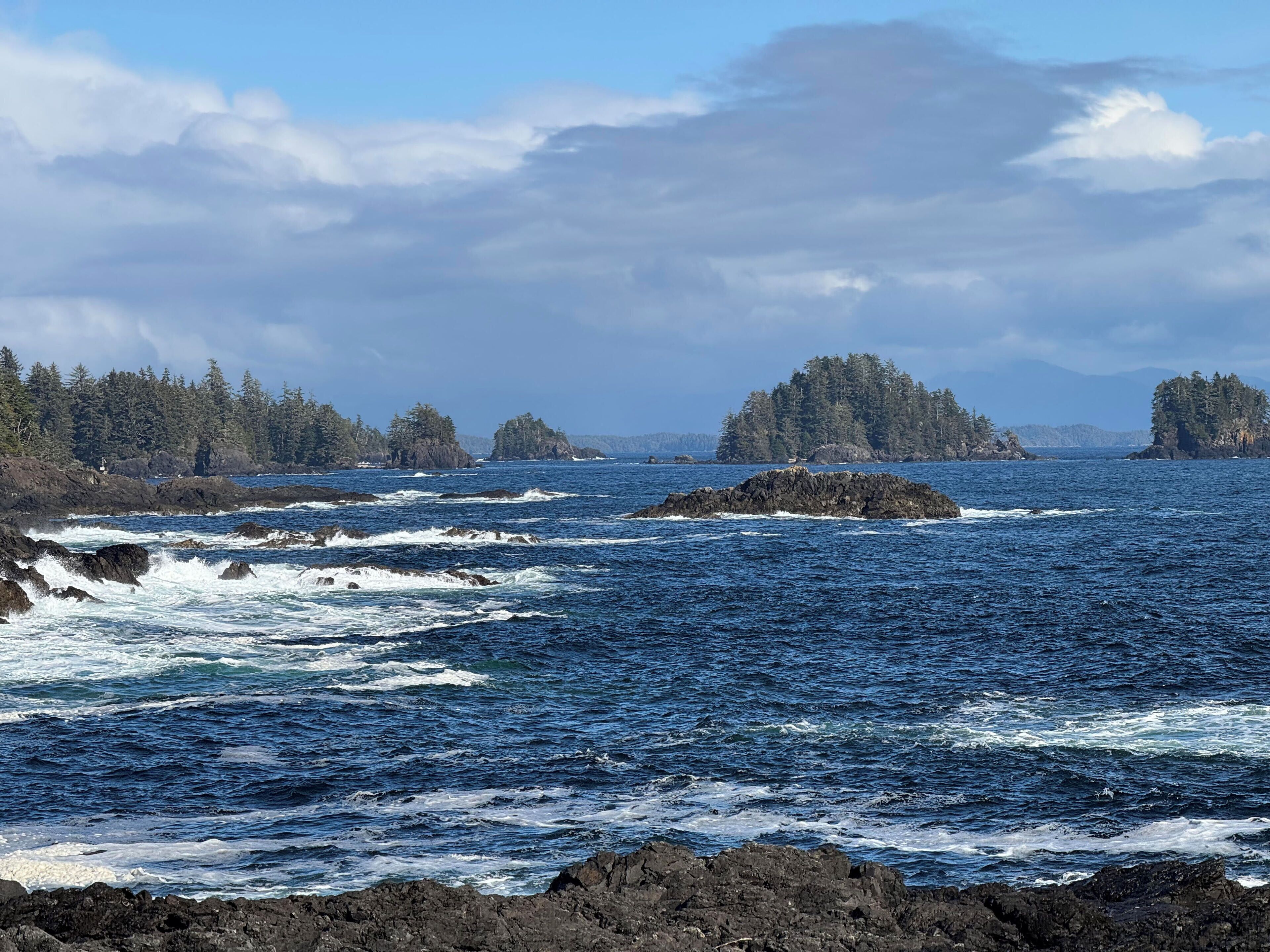Un paysage côtier caractérisé par des rivages rocheux, une mer calme et des îles boisées à l’horizon.