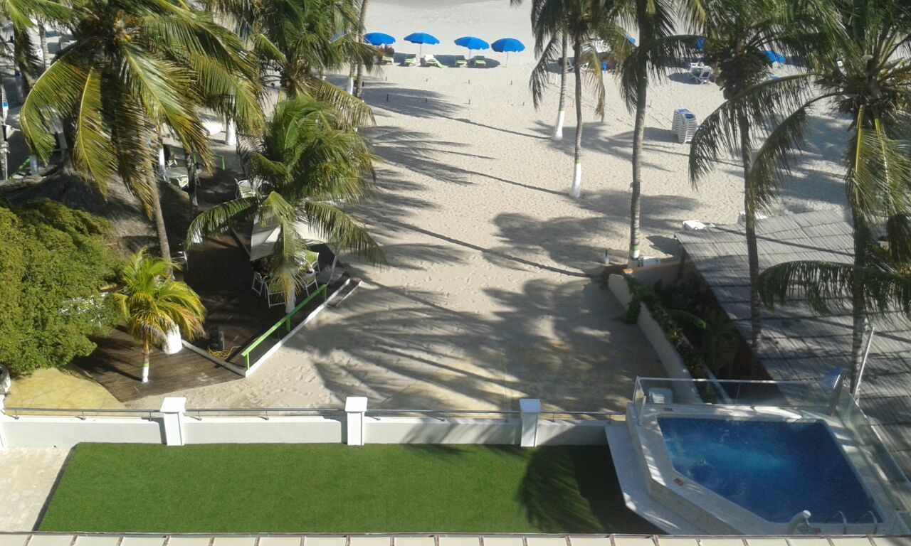 Une vue sur la plage, avec des palmiers, une piscine et des parasols.