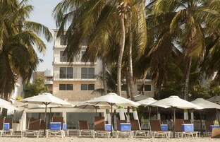 Un hotel frente a la playa con numerosas tumbonas y sombrillas, palmeras y un edificio con balcones.
