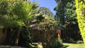 Un exuberante jardín con diversas plantas tropicales y una estructura con techo de paja.