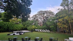Un patio con mobiliario exterior, un escenario y un árbol grande.