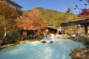 Spa - Awanoyu (Matsumoto)