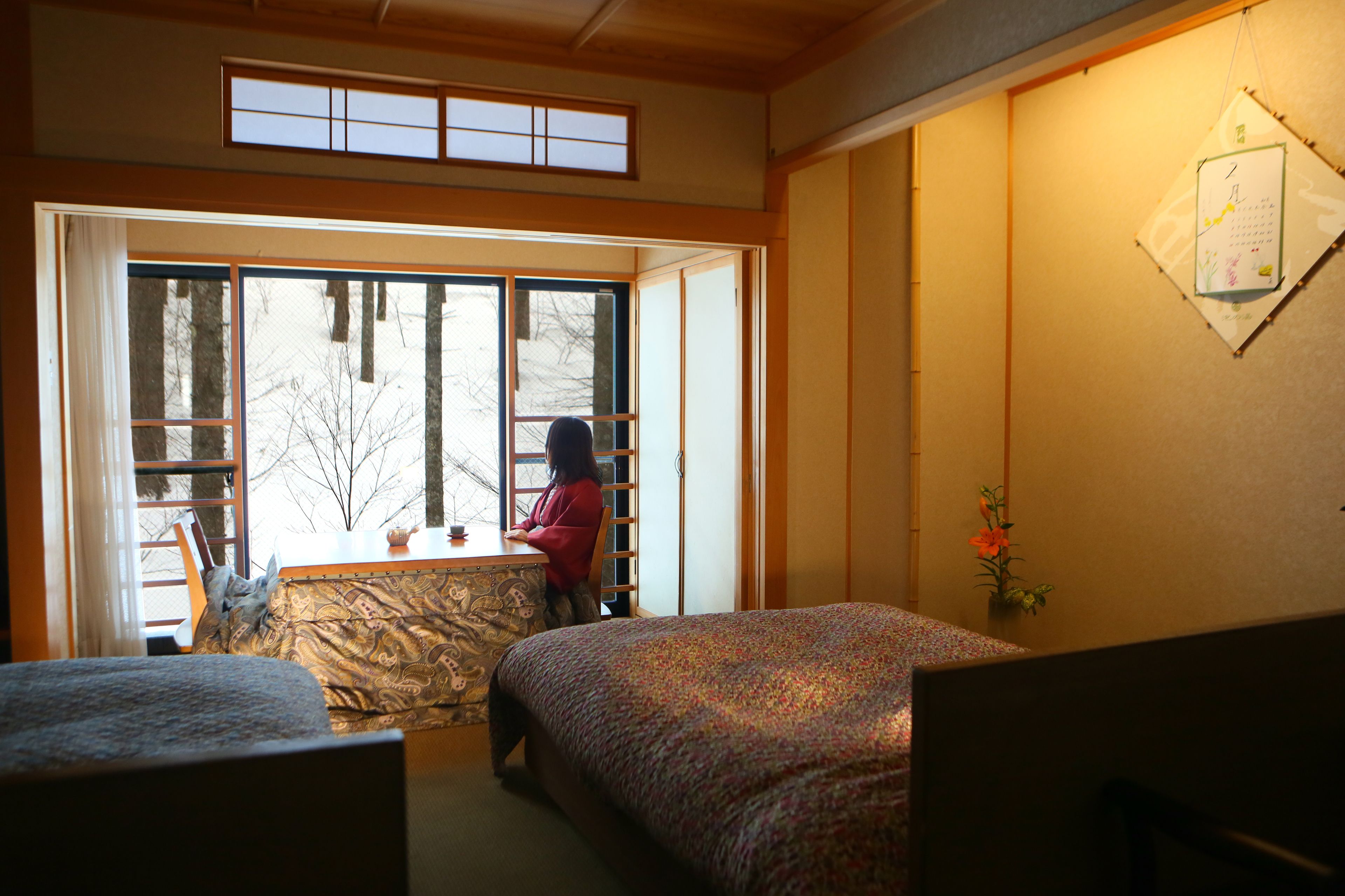 Vista desde la habitación