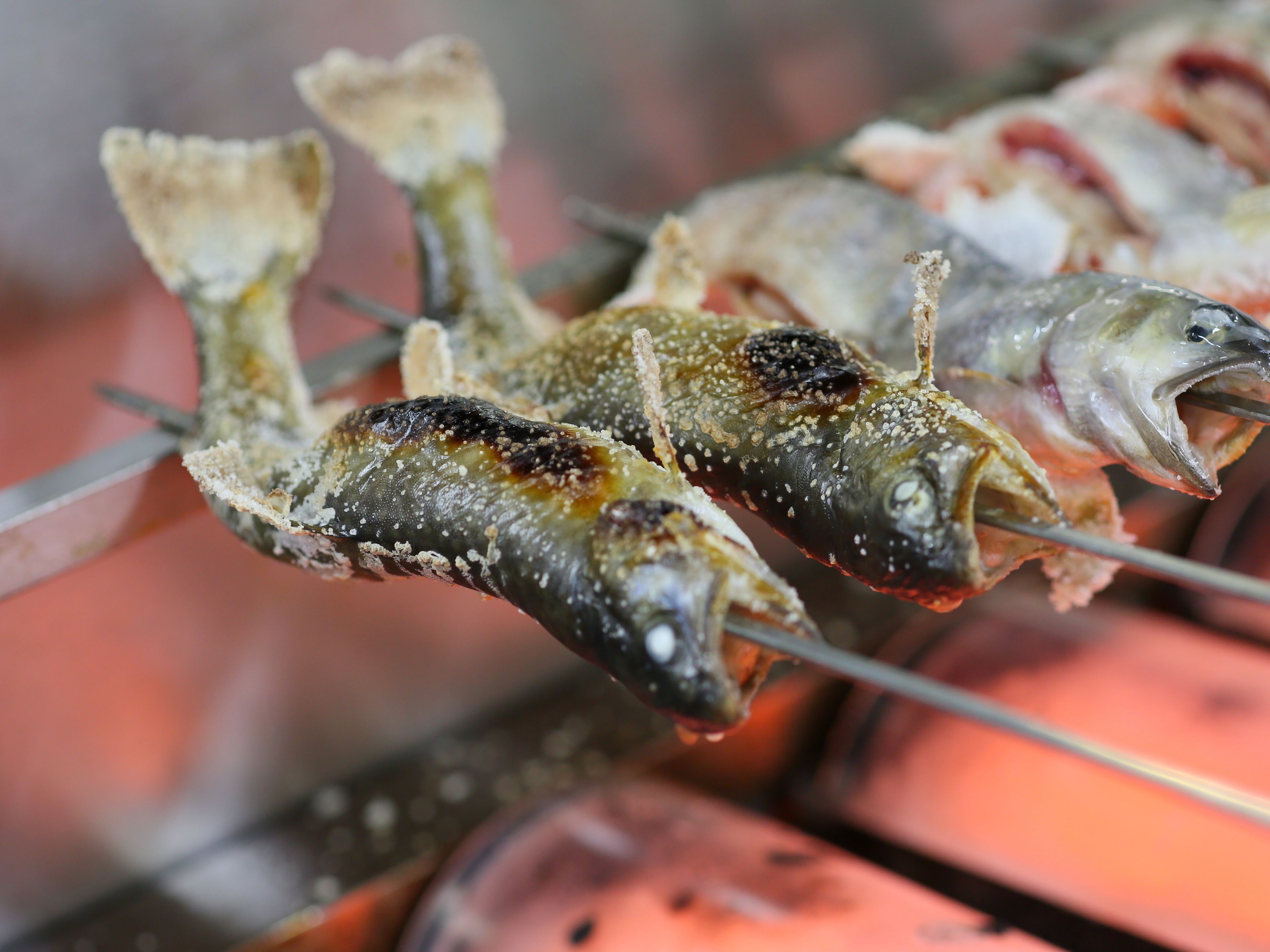 Pescado a la parrilla ensartado, probablemente listo para cocinar.