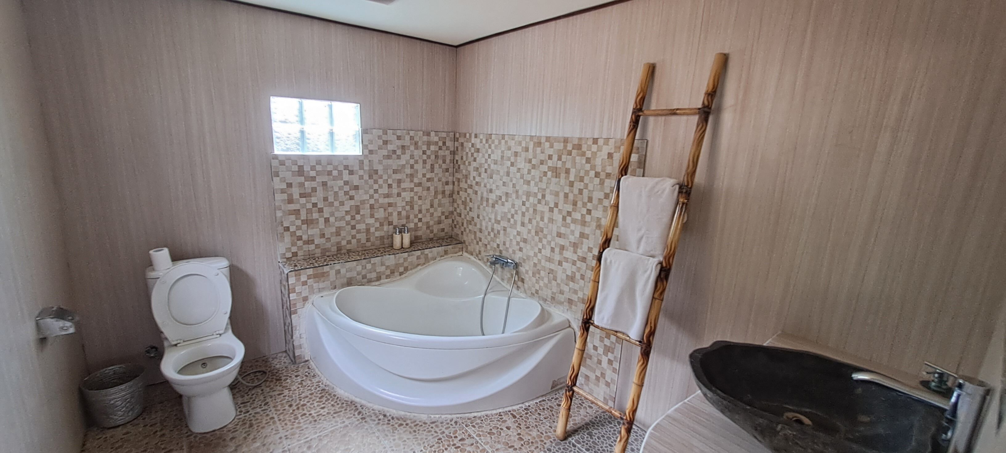 Une salle de bain comprenant des toilettes, une baignoire sur pieds et un espace douche.