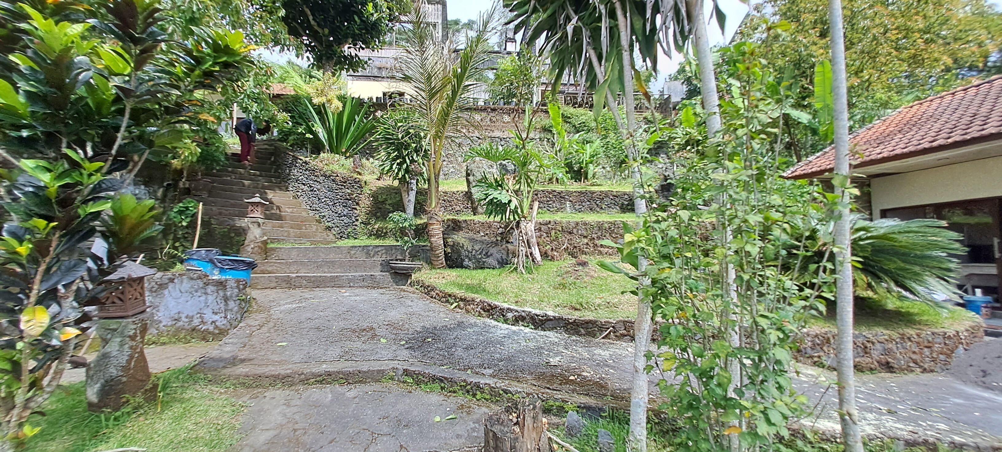 Eine Steintreppe führt zu einem Haus, das von üppigem Grün umgeben ist.
