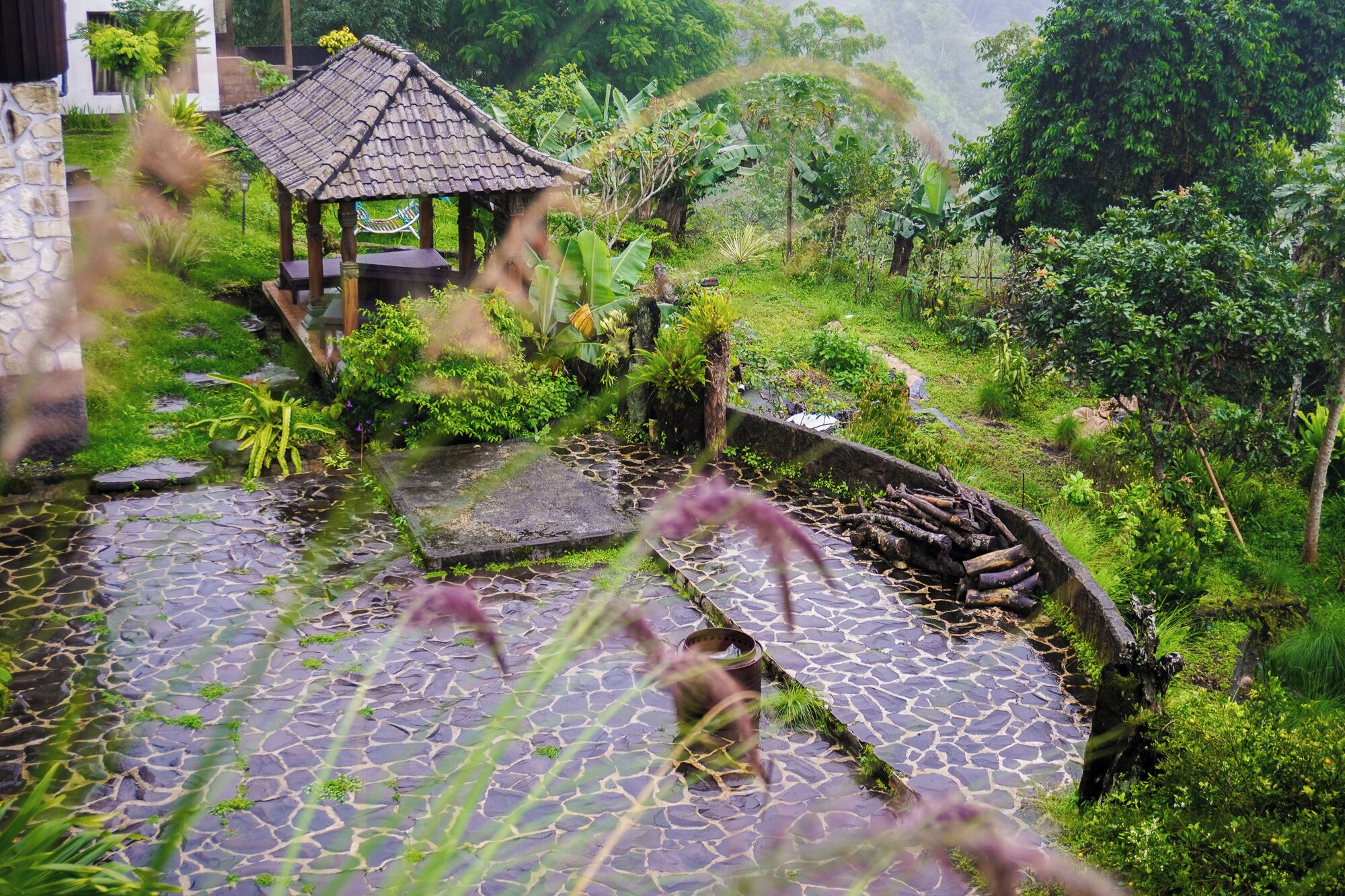 供应早餐、午餐和晚餐，国际美食