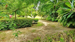 Property grounds - Aliyah Garden House (Ko Pha-ngan)