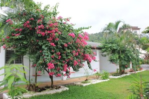 Vista desde la propiedad