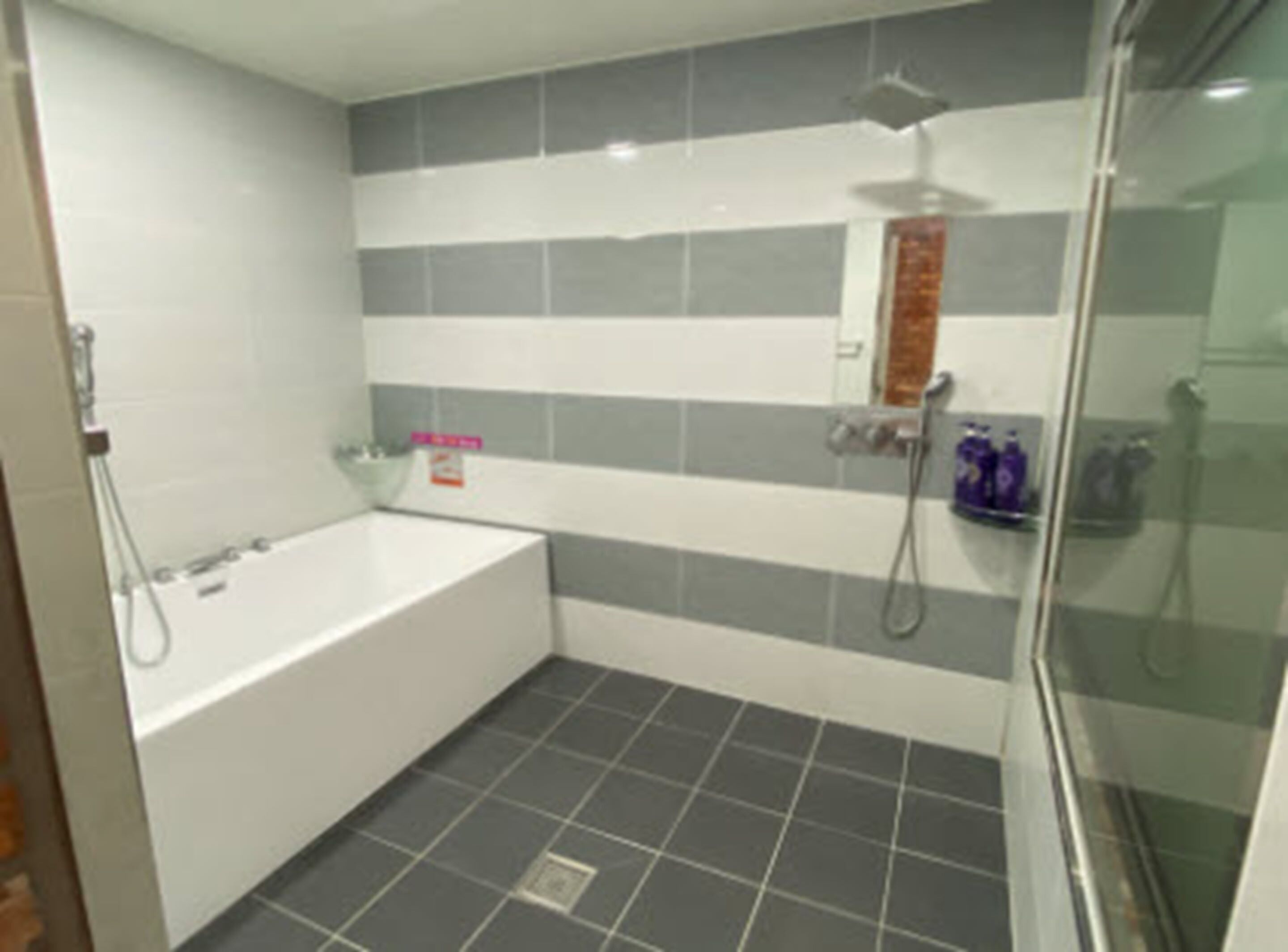 deluxe room | bathroom | separate bathtub and shower, jetted bath, free toiletries, hair dryer