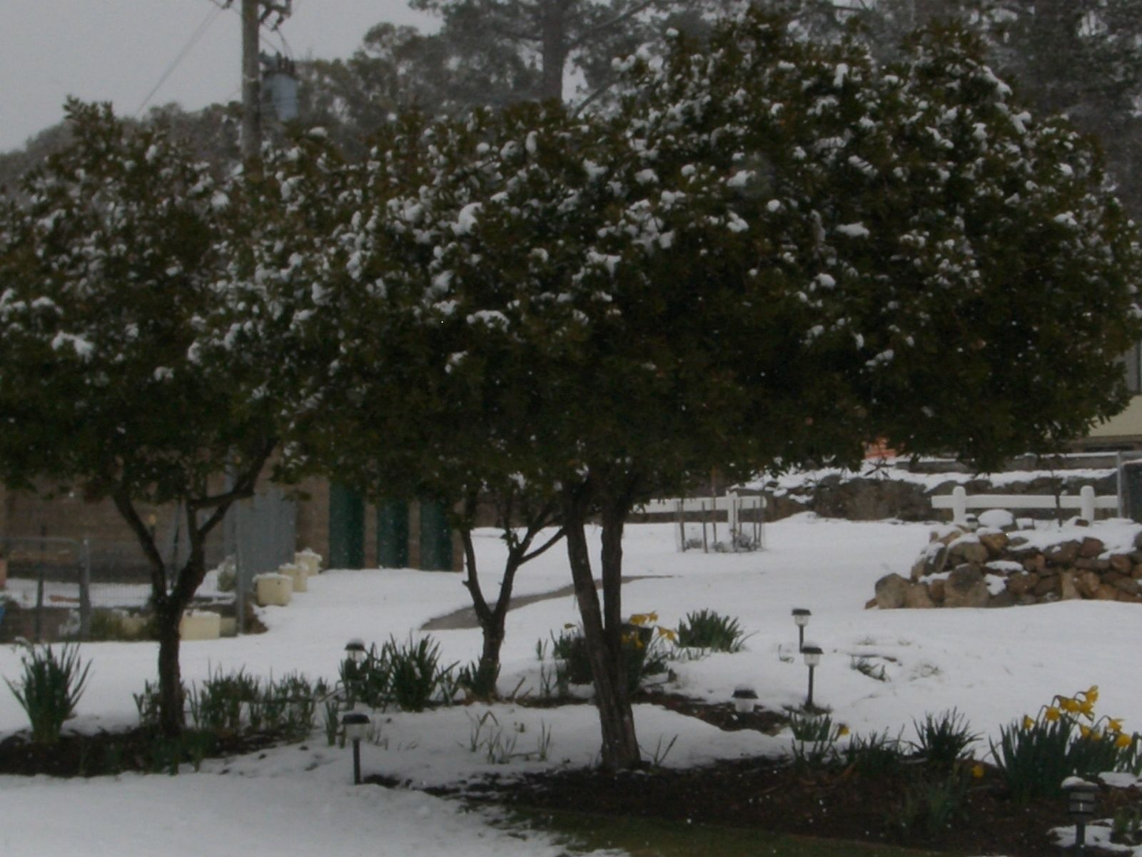A snow-covered landscape with trees and a stone wall.