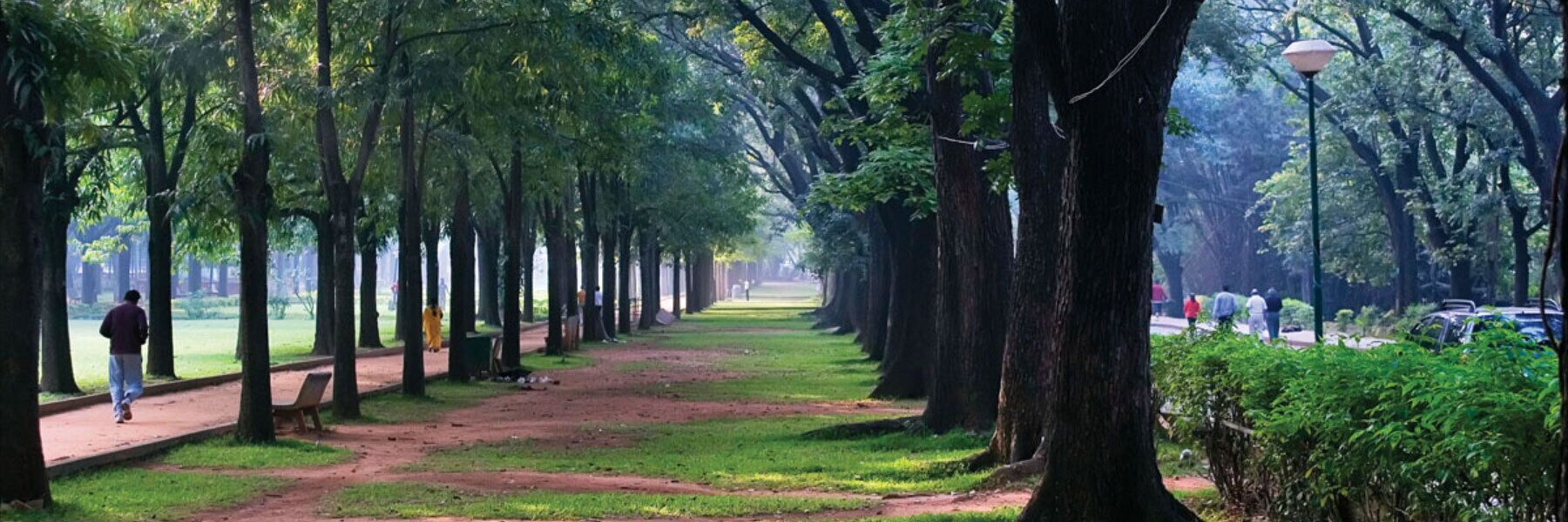 A tree-lined pathway in a park with benches and a lamp post.