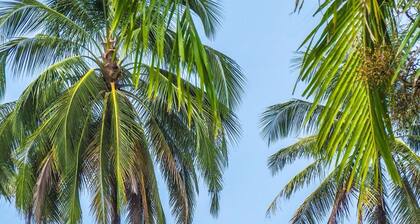 Le MENARA KHAO LAK