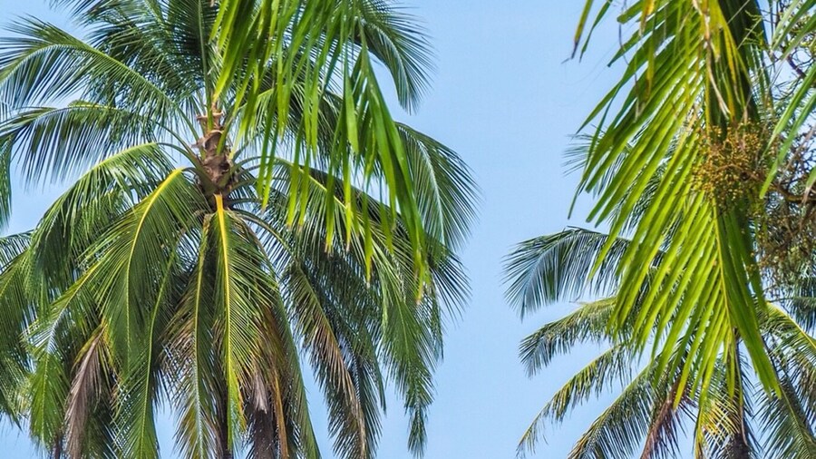 Le MENARA KHAO LAK